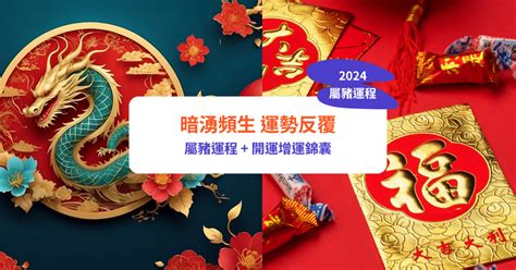 2024 生肖豬|【屬豬2024生肖運勢】暗湧頻生，運勢反覆｜屬豬運 